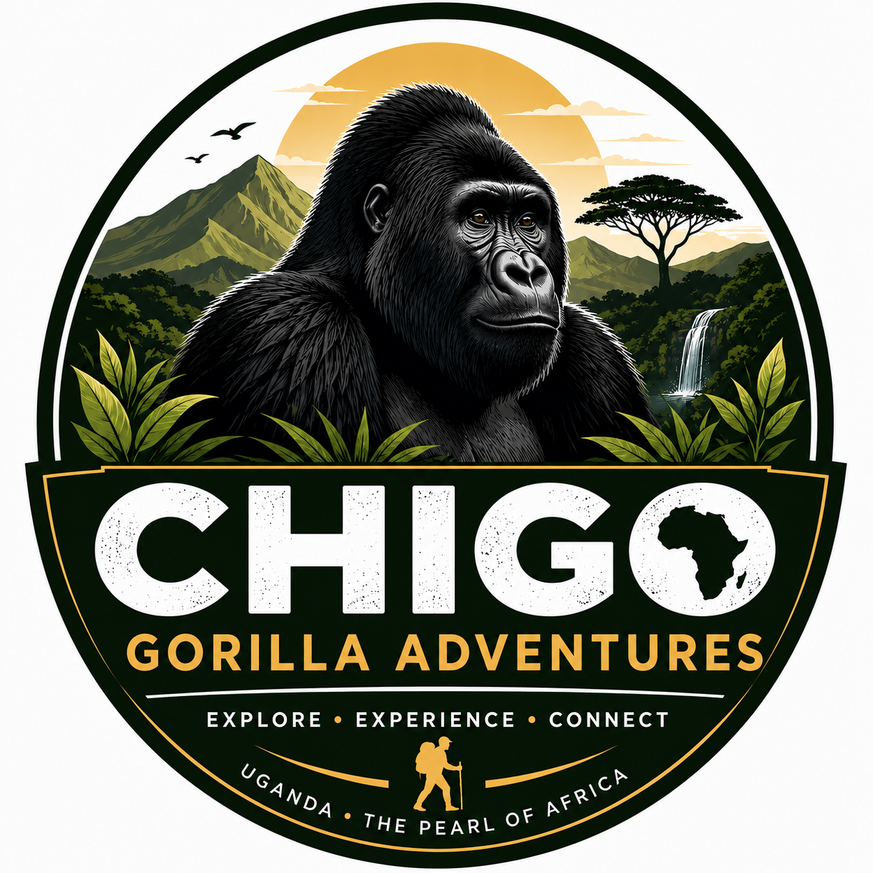 Safari Logo